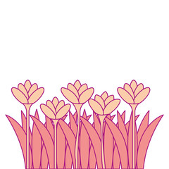 beautiful flowers cultivated icon vector illustration design