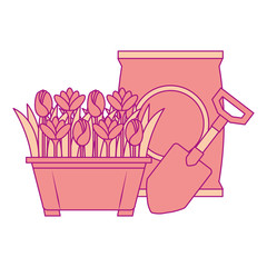 beautiful flowers cultivated in pot with fertilizer bag and shovel