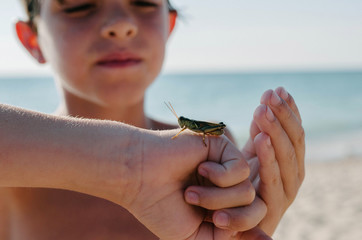 Boy and Bug
