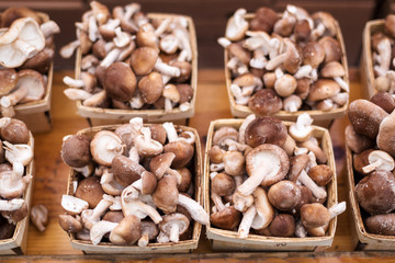 Organic Mushrooms at a Local Farmer's Market
