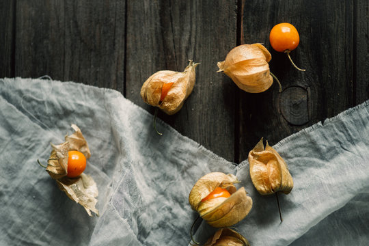 details of physalis