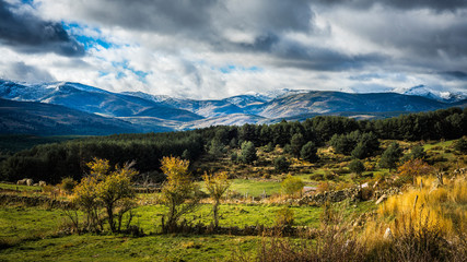 Sierra de Gredos, province of Avila, Castile Leon.