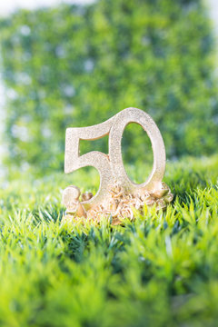 50 Jahre Jubil&auml;um Geburtstag Wiese
