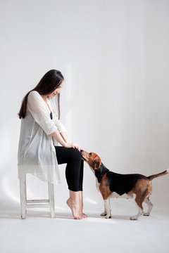 Pregnant woman with a beagle