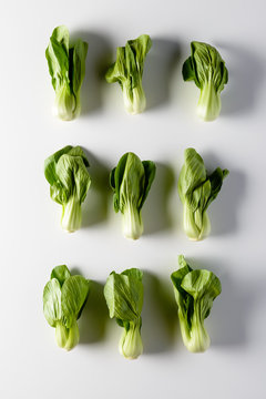 Pattern Of Baby Bok Choy On White