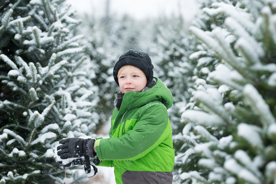 Little Boy Holding A Snowball Outdoors on Cold Snowy Winter Day