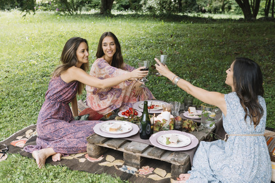 Women clanging glasses on picnic