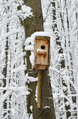 Birdhouse, protection from cold and bad weather for birds
