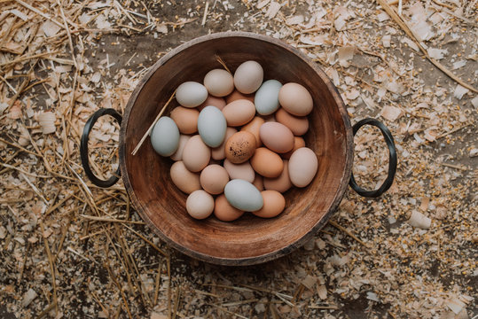Farm eggs
