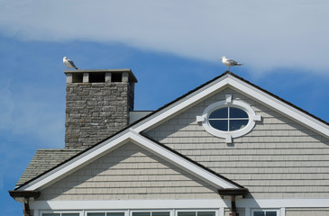 Seaside rooftop with seagulls and geometric shapes