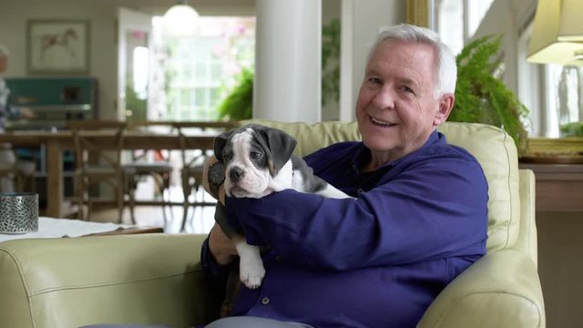 Senior man holding a puppy while sitting in an armchair