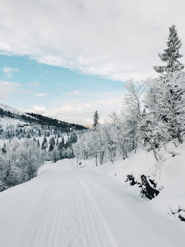 Wintertime in Norway - Snowy Landscape in Rondane National Park