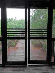 Fototapeta premium Rainy Wooden Boardwalk Through Screen Door Sanibel Captiva Conservation Foundation