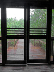 Rainy Wooden Boardwalk Through Screen Door Sanibel Captiva Conservation Foundation