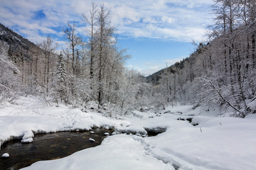 Spring in the mountains of Khamar-Daban