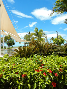 Airlie Beach Lagoon