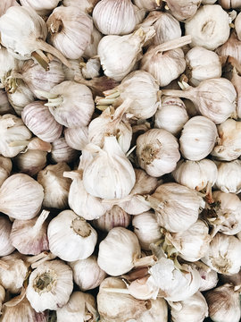 Garlic on farmers market