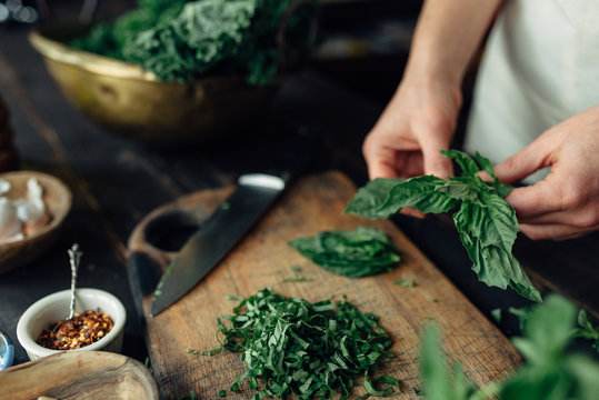 Woman's hands breaking off basil leaves