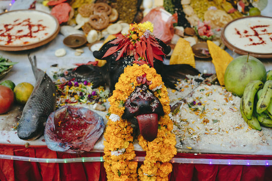 Festival offerings