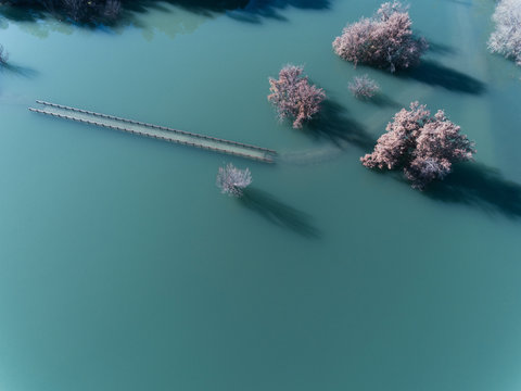 Frozen lake and pink trees