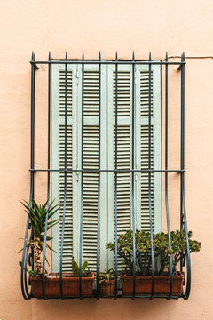 Window with Flowers