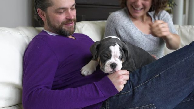 Mid adult couple stroking a puppy while sitting on a couch