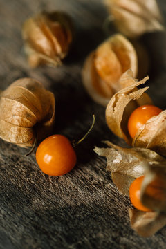 details of physalis