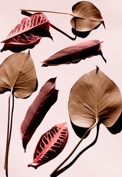 leaves laying in a seamless background