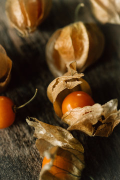 details of physalis