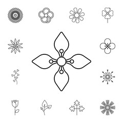 abstract type of flowers Line Icon. Set of beautiful flower icons. Signs, outline eco collection, simple thin line icons for websites, web design, mobile app, info graphics