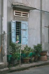 Fototapeta na wymiar Blue window shutter and plants in pots, grey wall of typical Vietnamese house. Vung Tau, Vietnam.