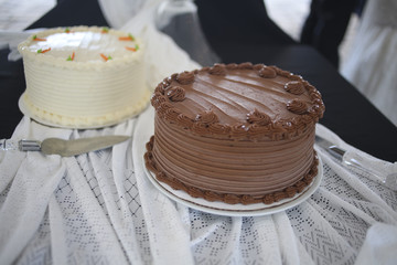 Chocolate Cake and Carrot Cake