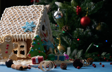 Traditional homemade gingerbread cookies