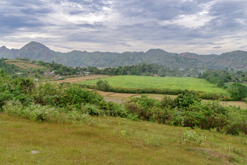 Fototapeta na wymiar rice farm at Capas , Philippines