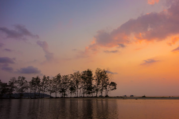 Fototapeta na wymiar Silhouette of pines on the beach with twilight sky, Khlong Chao Beach, Ko Kut island, Thailand 
