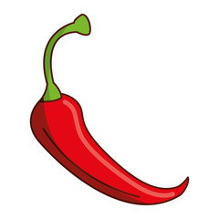 spicy chile vegetable icon vector illustration design