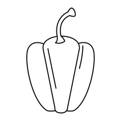 fresh pepper vegetable icon vector illustration design