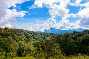 Fototapeta na wymiar Kew Mae Pan Nature Trail Trekking trail leading through jungle