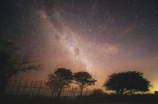 The Milky Way and some trees. In the Nusa Penida Island, Bali, Indonesia