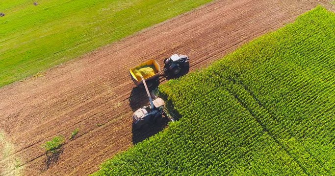 Semi truck and farm machines harvesting corn in Autumn, breathtaking aerial view.
