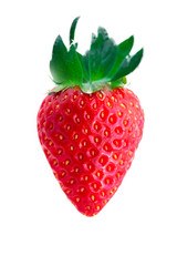 Red berry strawberry isolated