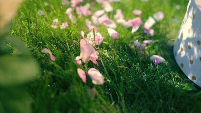 girl skattering rose petals over theon emerald fresh grass for festive floral reception decorations outside