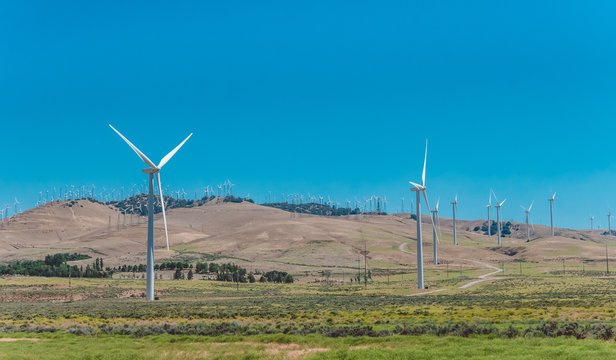 Modern wind power station. Environmentally friendly electricity production