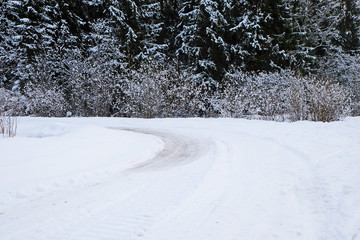 winter road turning on a forest background