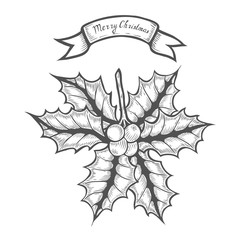 Christmas holly illustration