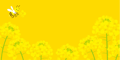 Fototapeta premium ミツバチと菜の花 背景イラスト