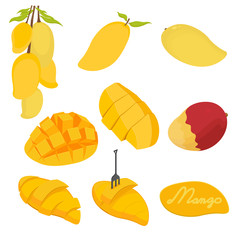 Set of Mango Tropical Fruit Isolated Vector and Icon