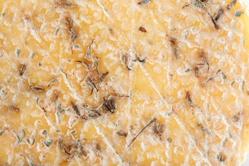 cheese close up