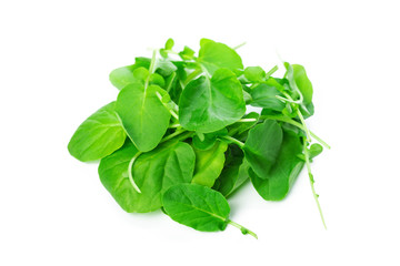 Spinach isolated on white background
