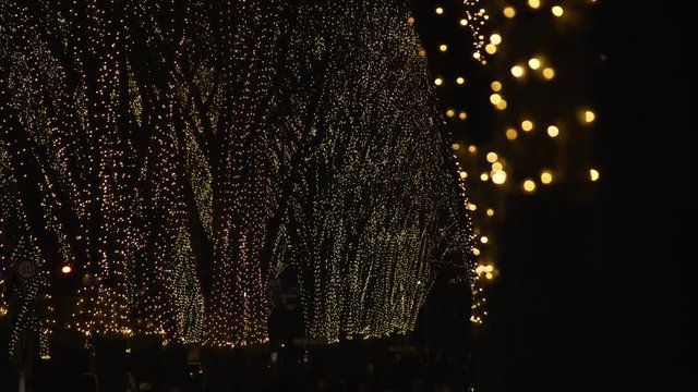 東北 宮城 仙台 光のページェント Sendai pargeant of starlight
